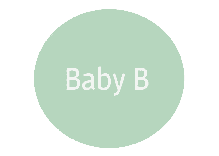 babyb_abacate